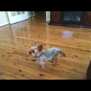 Meet your Posher, Feba